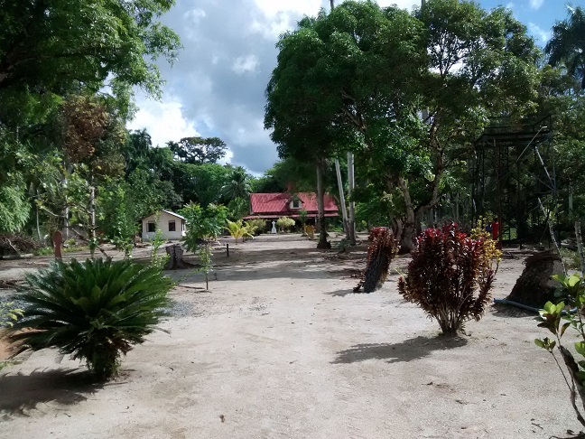 Batavia nu