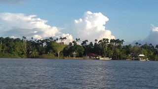 Batavia vanuit de Coppenamerivier